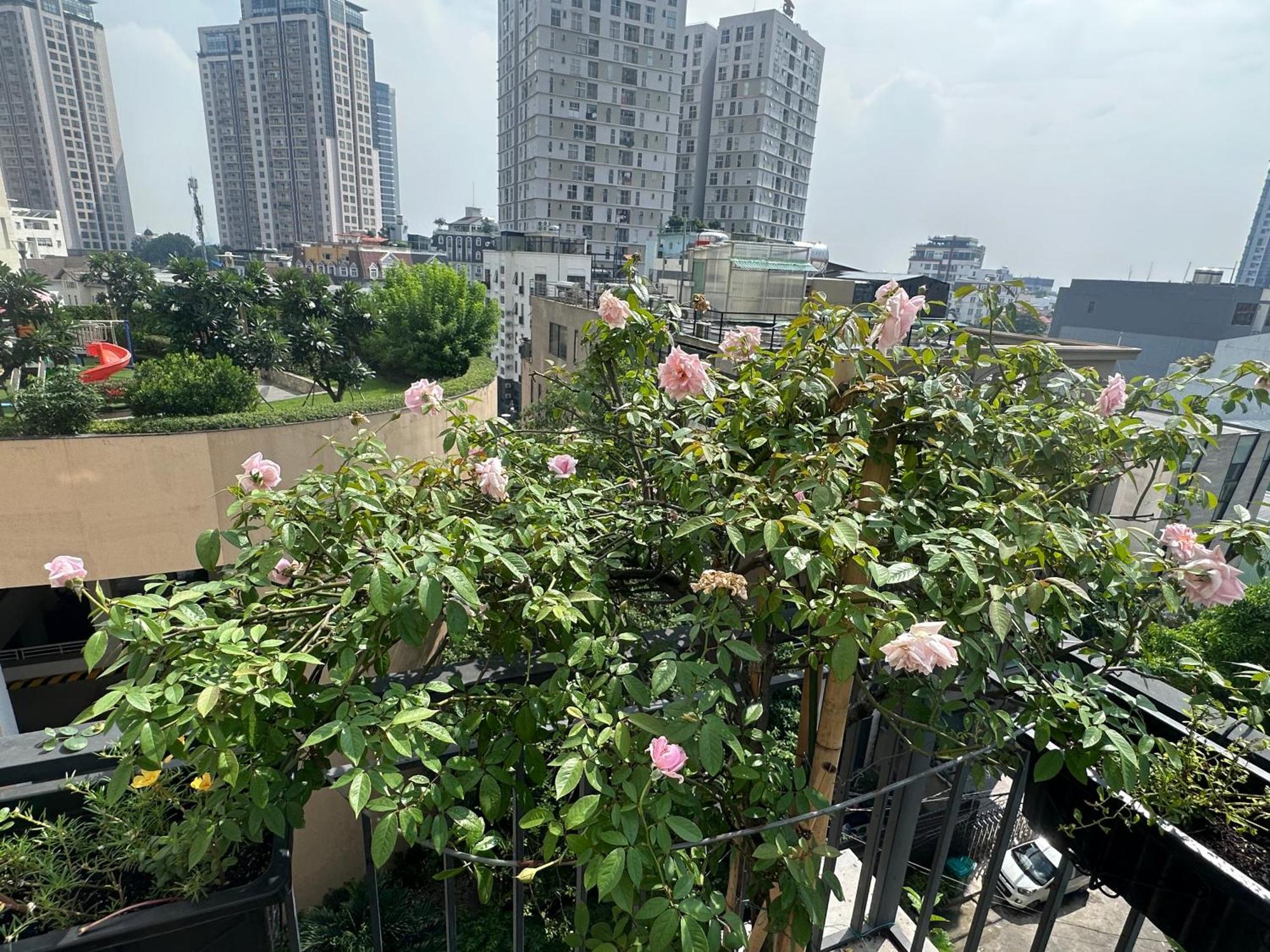 Homey Apartment ホーチミン市 エクステリア 写真